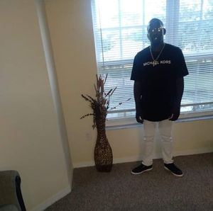 Meet your Posher, Henry